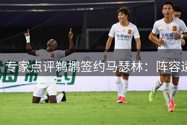 专家点评鹈鹕签约马瑟林：阵容适配度存疑 更适合火箭狼队