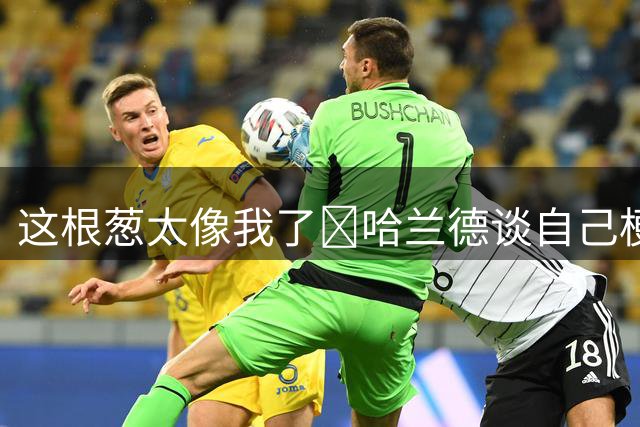 这根葱太像我了🤣哈兰德谈自己梗图：做得很棒，没什么好较真的